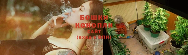мдпв Корсаков