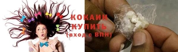 мдпв Корсаков