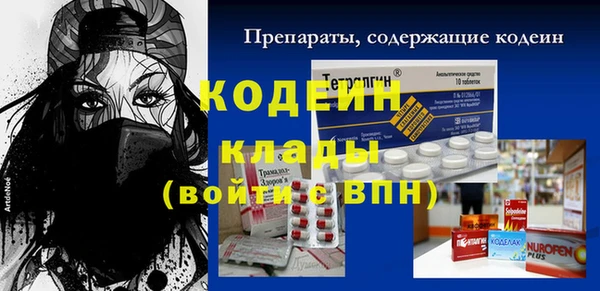 мдпв Корсаков