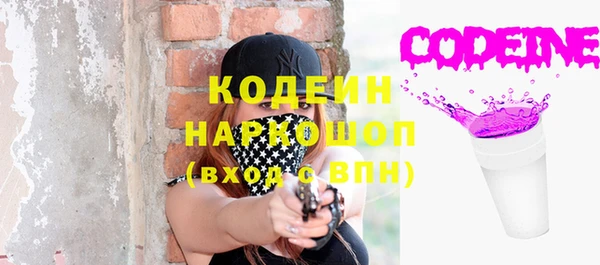 мдпв Корсаков