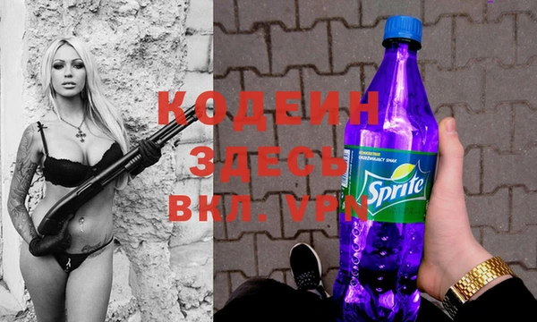 мдпв Корсаков