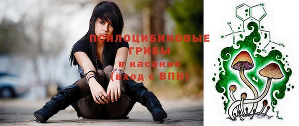 герыч Сосновый Бор