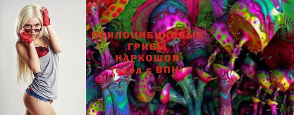 мдпв Корсаков