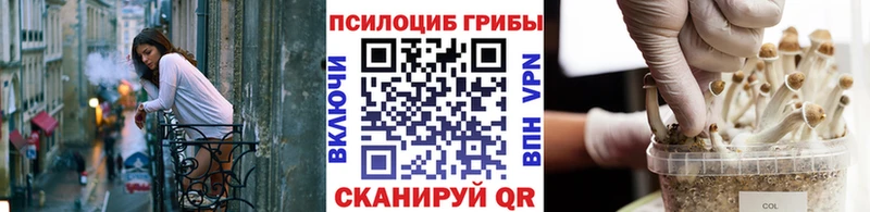 Псилоцибиновые грибы MAGIC MUSHROOMS  Мостовской 